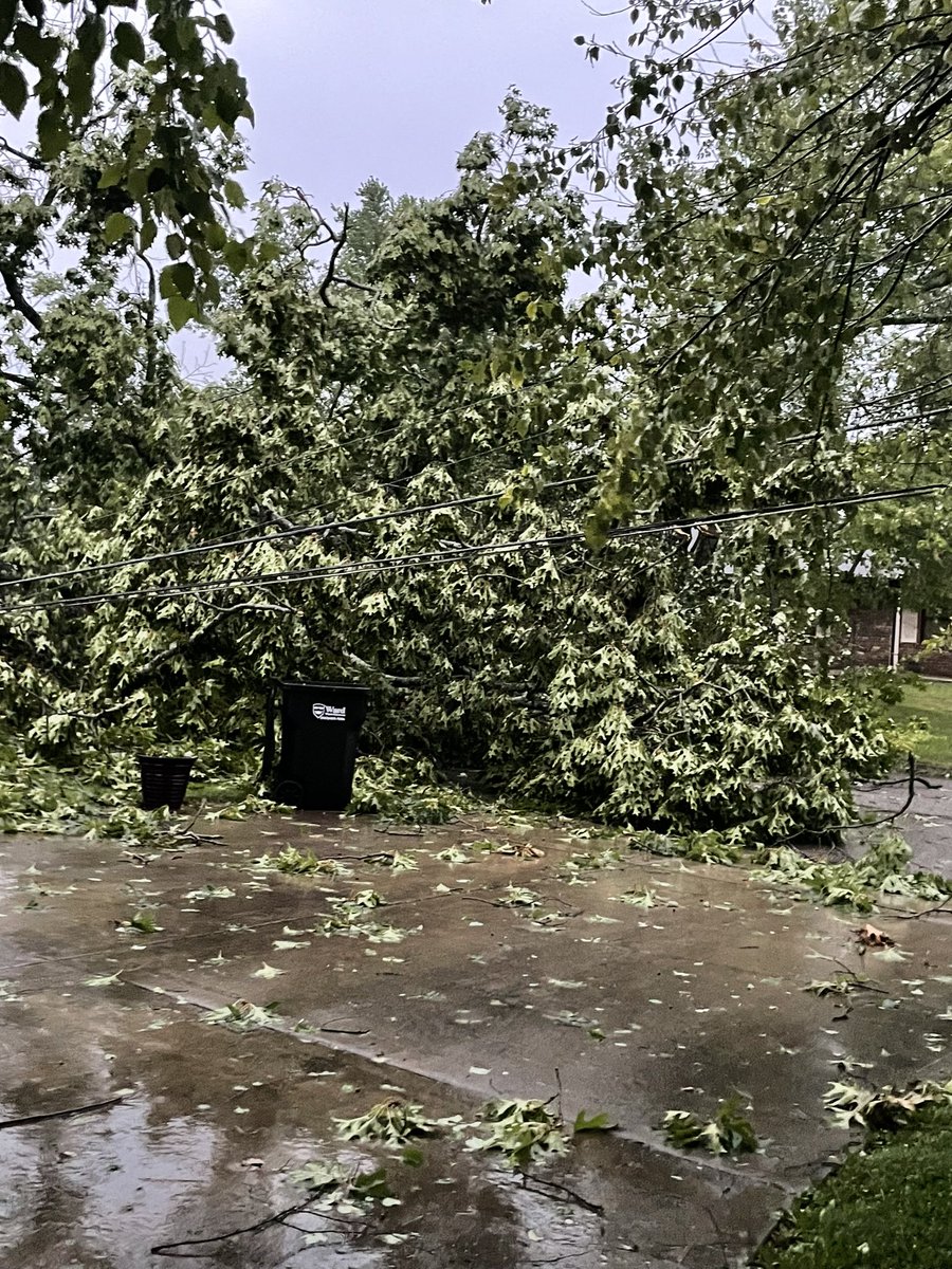 DanaLCarper's tweet photo. What a morning #Thunderstorm https://t.co/glbPzup6i2