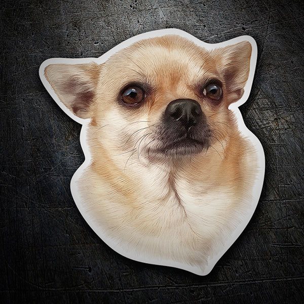 TeleAdhesivo's tweet image. 🐶Día Mundial del Perro🐶
Nuestros amigos de 4 patas tienen hoy su día.🐕‍🦺🐕🐩
!!Celébralo como se merece y presume de orgullo canino con la mejor categoría de pegatinas de perros!!
Busca el tuyo!🔍
#internationaldogday #teleadhesivomola #dogstickers
👇
bit.ly/3aE70Rs