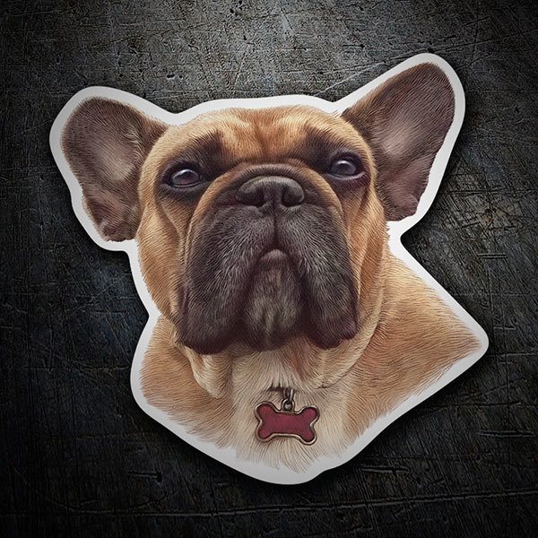 TeleAdhesivo's tweet image. 🐶Día Mundial del Perro🐶
Nuestros amigos de 4 patas tienen hoy su día.🐕‍🦺🐕🐩
!!Celébralo como se merece y presume de orgullo canino con la mejor categoría de pegatinas de perros!!
Busca el tuyo!🔍
#internationaldogday #teleadhesivomola #dogstickers
👇
bit.ly/3aE70Rs