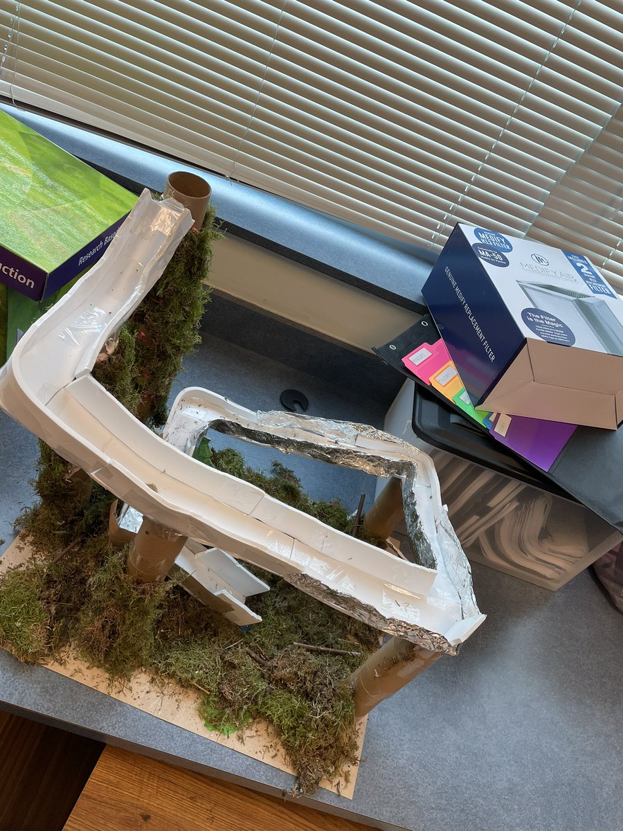 Rachel Purvis tweet media