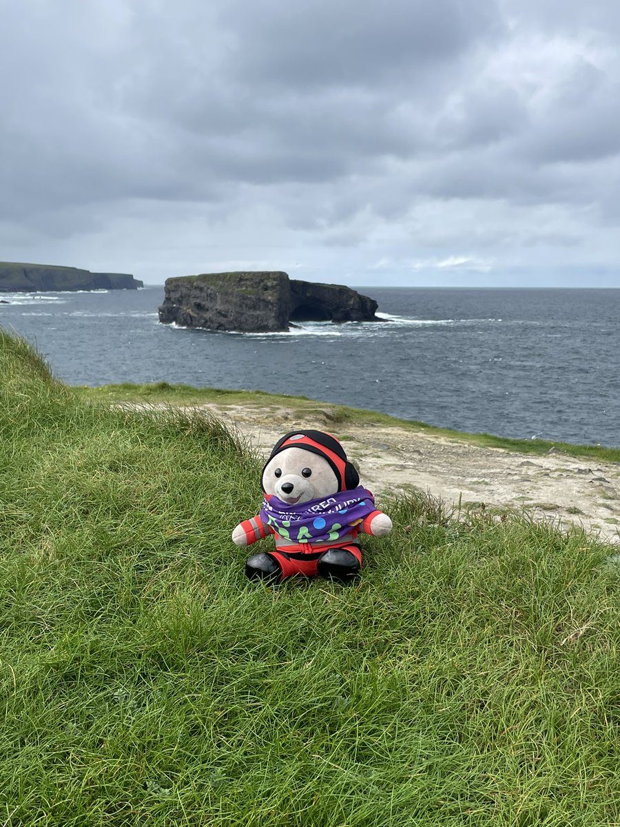 Eireball's tweet photo. #eddietheteddy is having the best time on Eireball @CommunityAirAmb @ABIIreland https://t.co/nNwO4QEeJK