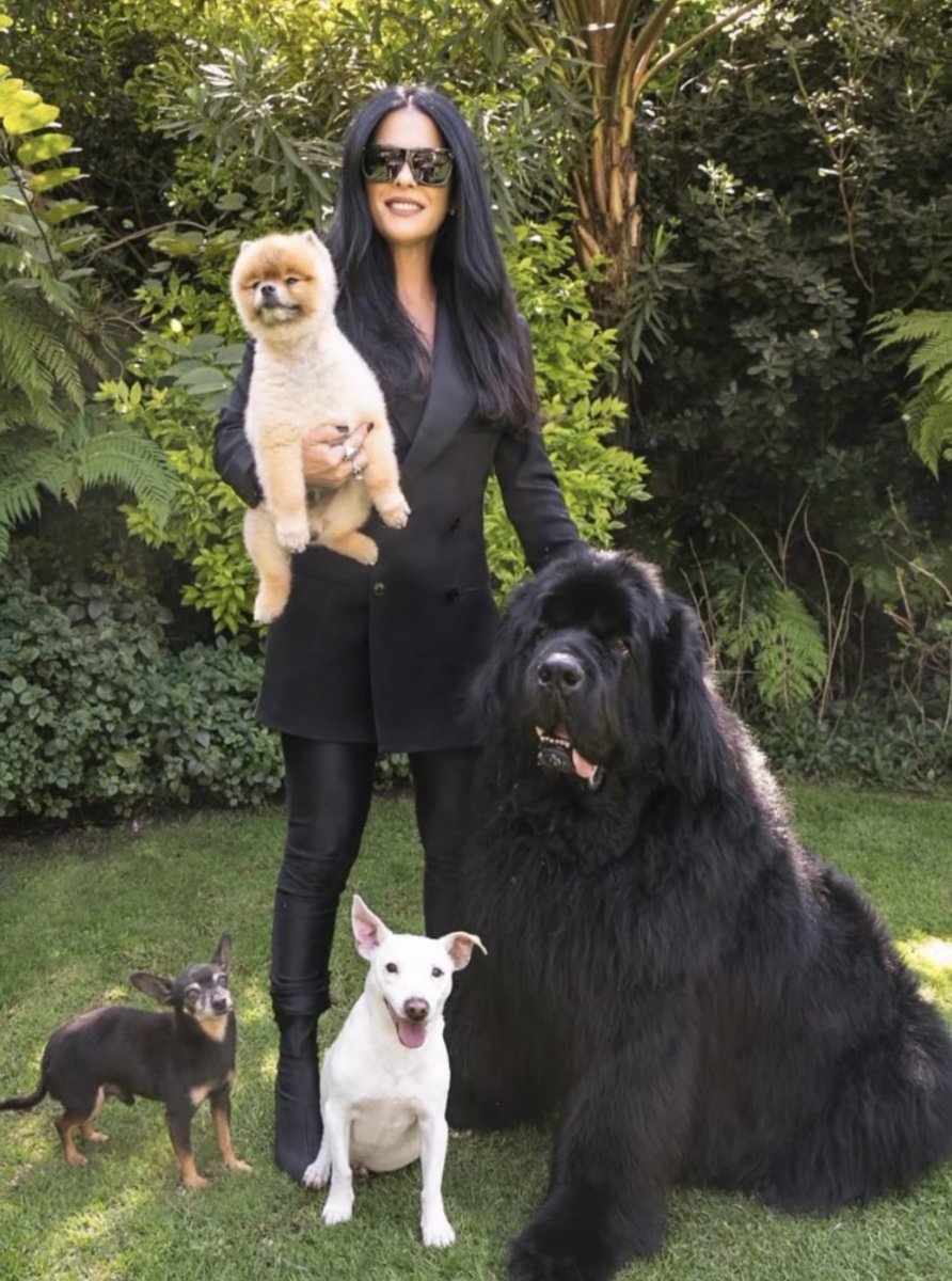 marthadebayle tweet media