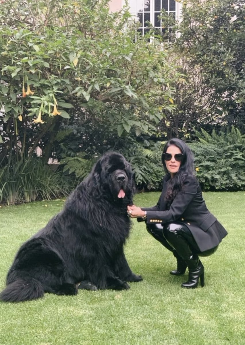 marthadebayle tweet media