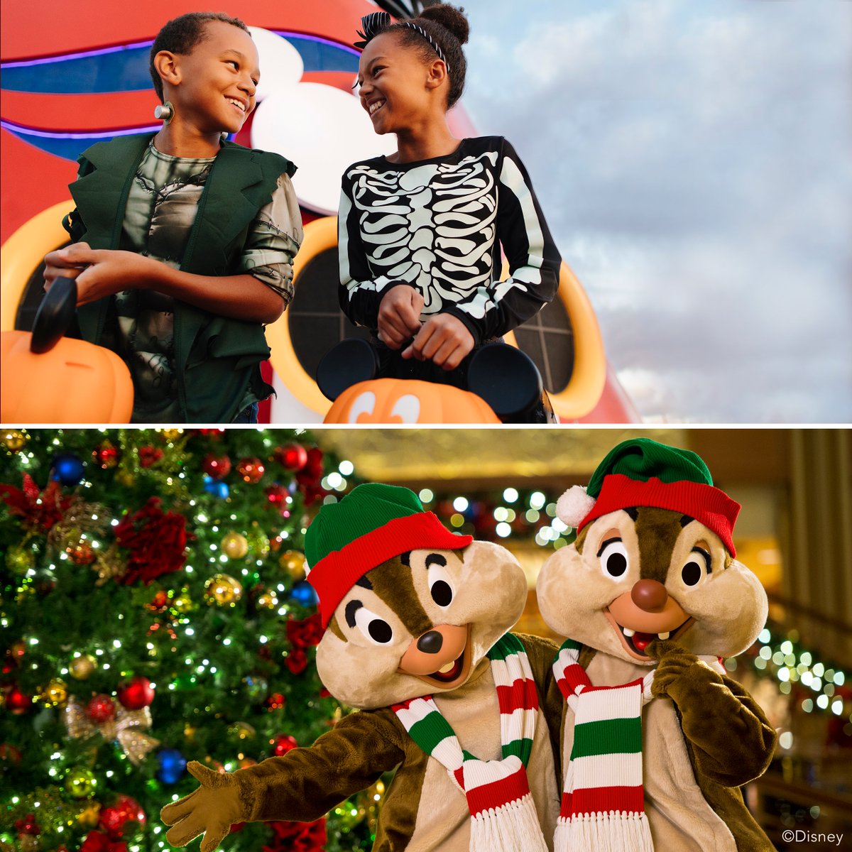 Disney Cruise Line tweet media