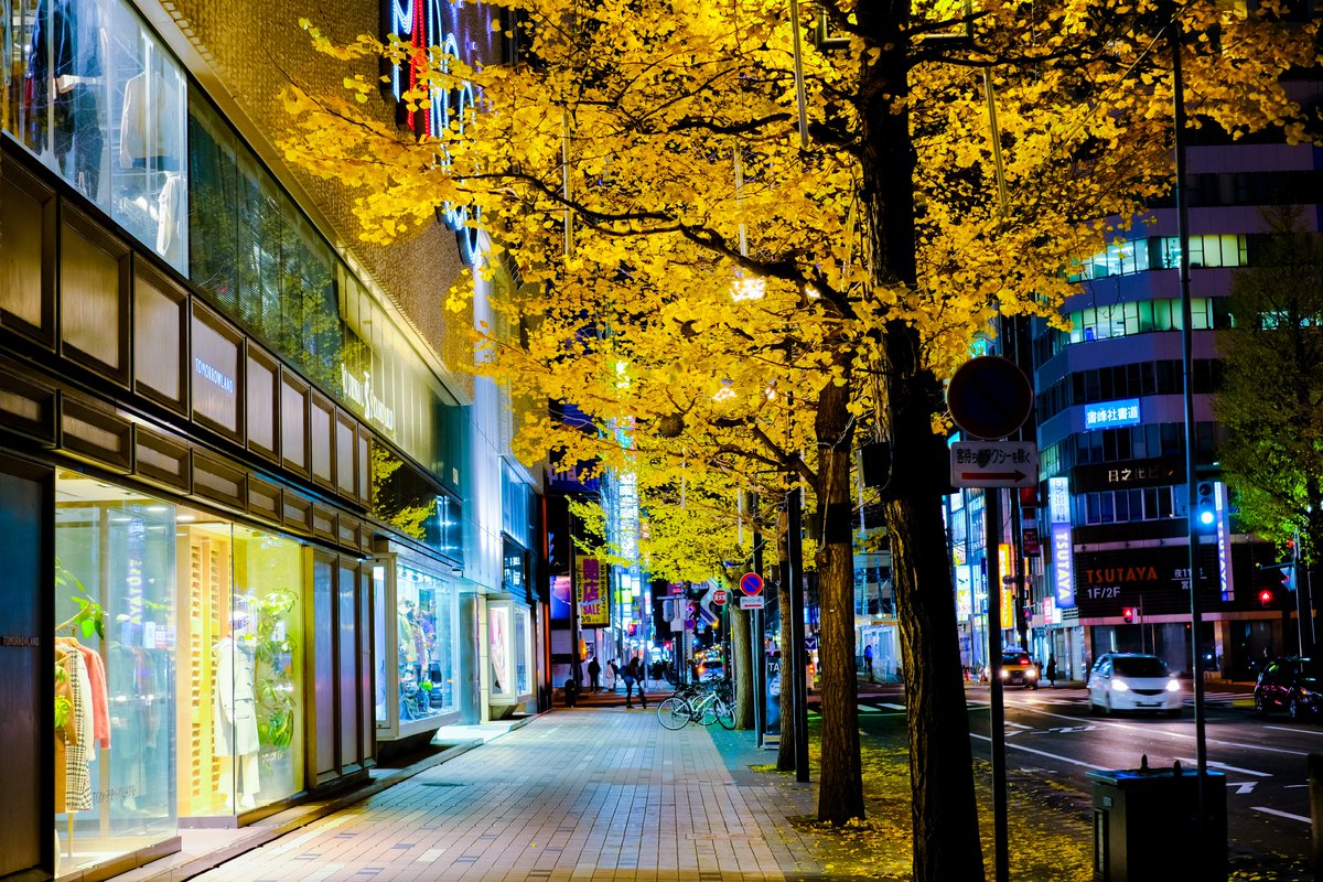 daiphotographer's tweet photo. 札幌市内及び近郊で、ポートレート撮影の被写体になって頂ける方を募集中です😌
興味のある方はご連絡下さい🙌
#XT4 #FUJIFILM #fujifilm_xseries #classicneg #photography #写真で奏でる私の世界 #写真が好きな人と繋がりたい #ファインダー越しの私の世界 #キリトリセカイ https://t.co/mAiV6sOlJF