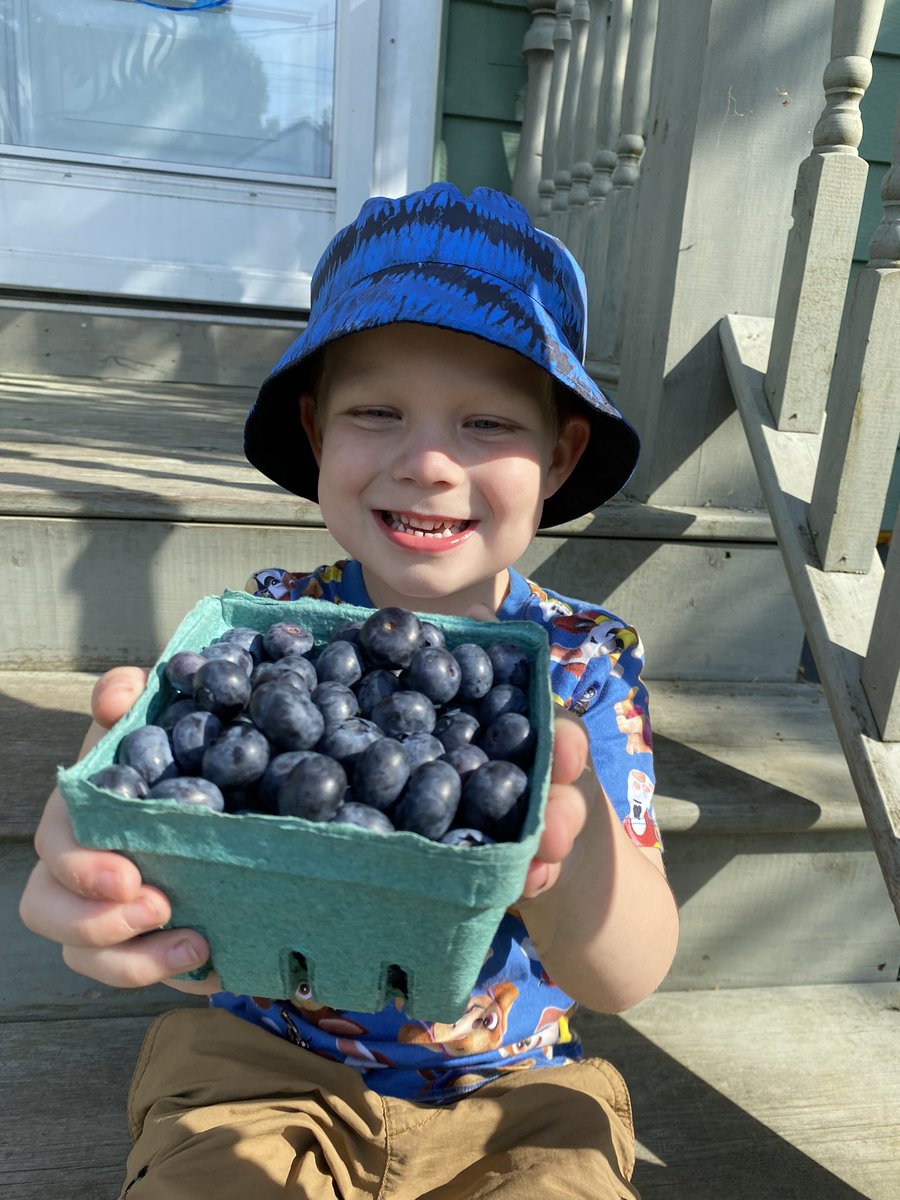 berducky's tweet photo. It’s blueberry season!

#blueberries #summer #yum #pickedfresh #markettreat #buylocal #eatlocal #supportlocal #annapolisvalley #fairview #novascotia https://t.co/ZQY5fuqHzL