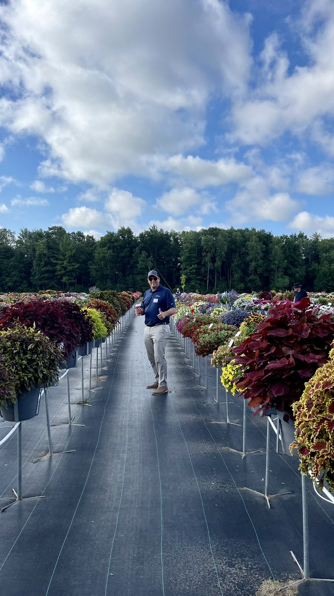 Tanya Carvalho tweet media