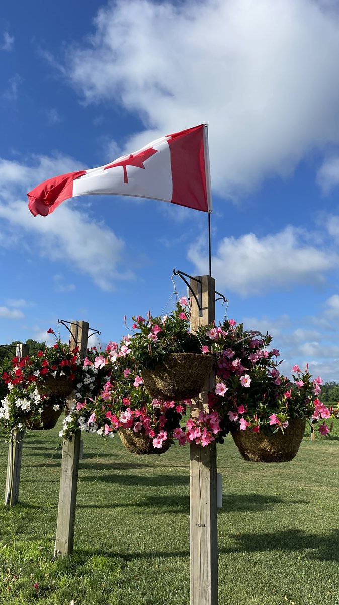 Tanya Carvalho tweet media