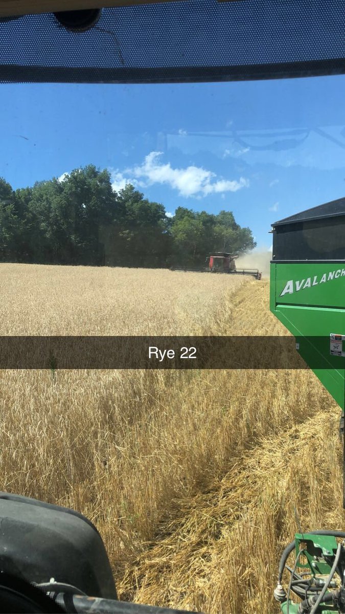 #Carlson farms #Rye 22
