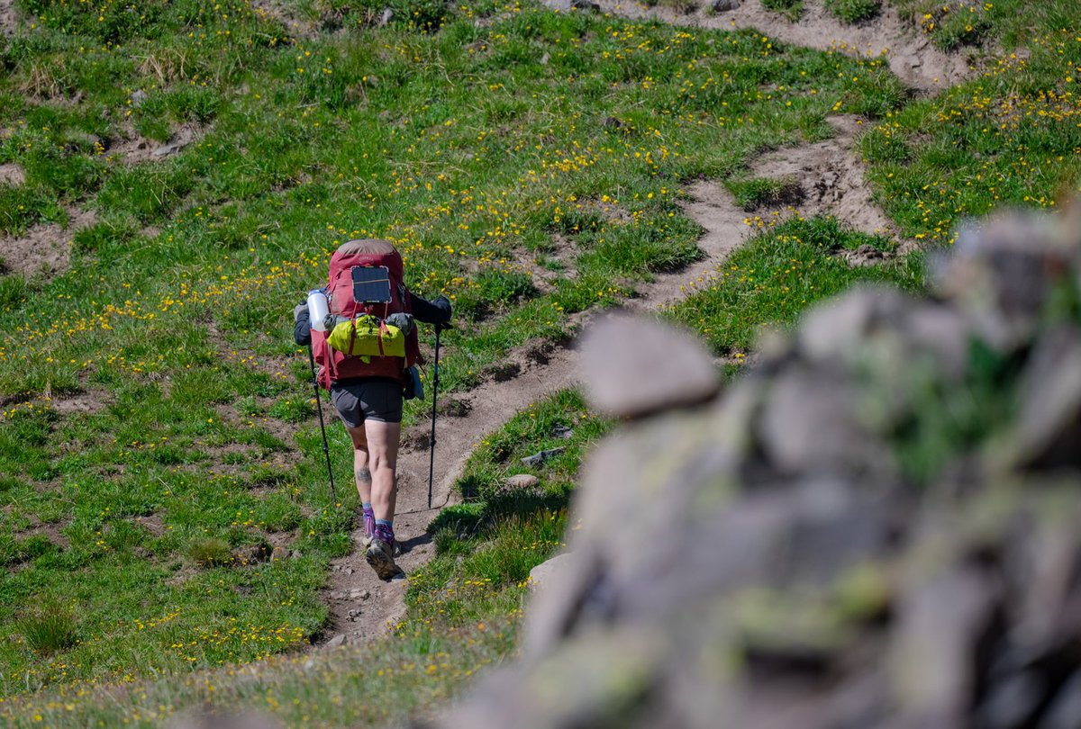 ColdCaseGear's tweet photo. Our West Slope Case is a favorite for hikers in hot environments where the sun threatens to shut your phone down. 

#hiking #Heatwave2022 #backpacking #backpackinglight https://t.co/MdI4Pg8wdo