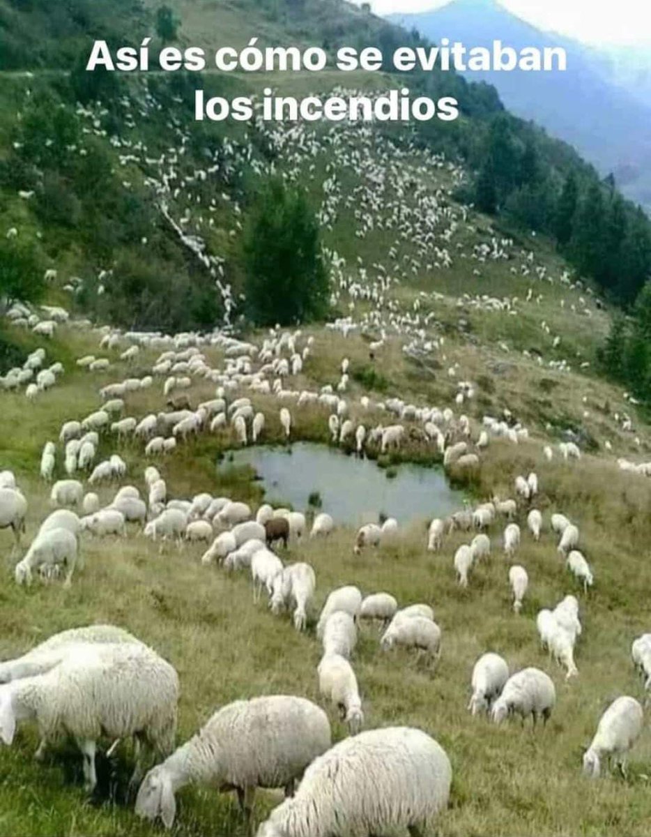 Es hoy muy tarde para esta medida preventiva.

...vaciada, olvidada y ahora quemada.