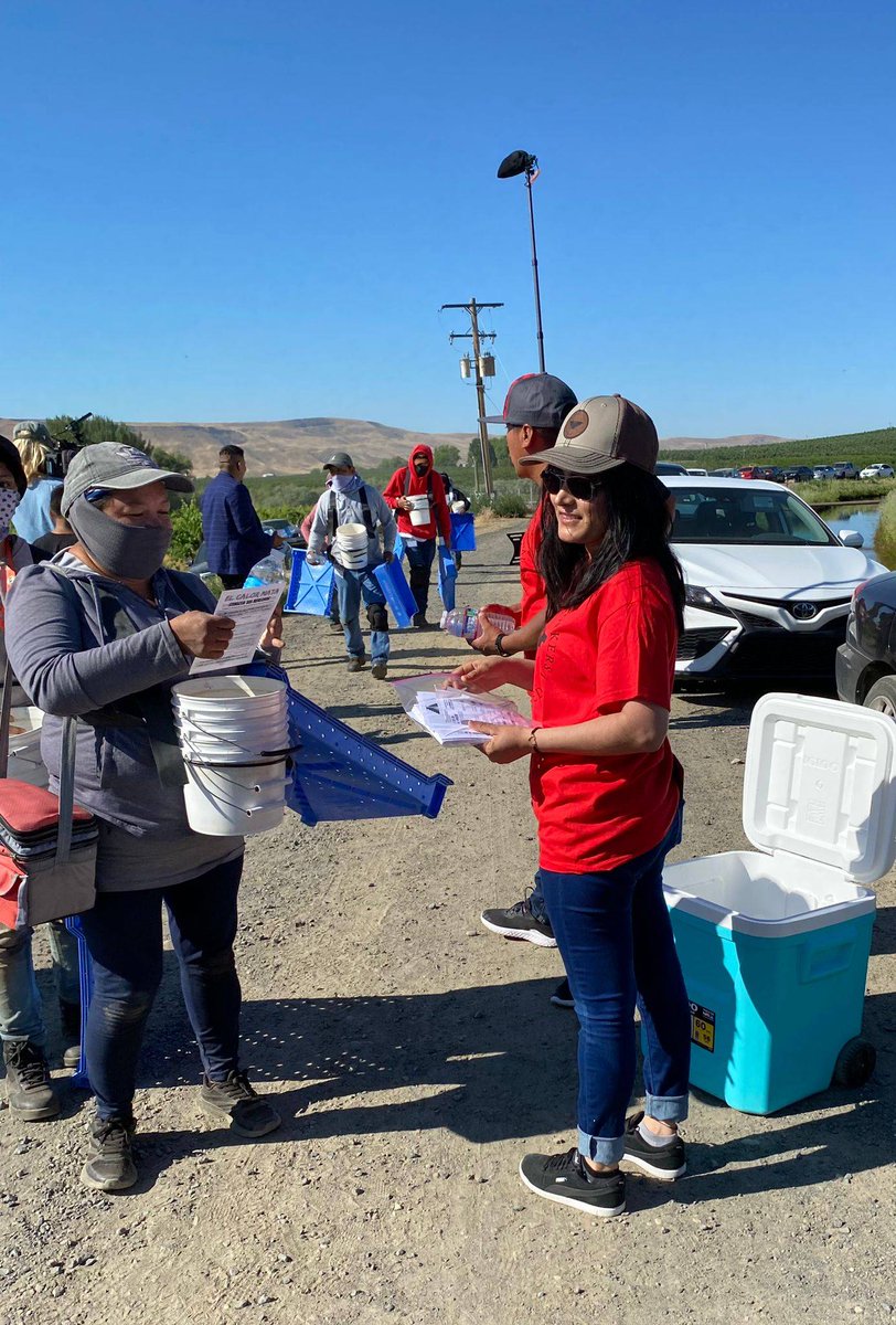 UFWupdates's tweet photo. As temps exceeded 100 degrees in WA, farm worker leaders like Jesus &amp; Angela spent time visiting the fields to inform workers about the new WA state emergency heat rules. Unfortunately most of the workers didn’t even know these rules are in place. #CALOR #WeFeedYou https://t.co/lrj0MgBa1a