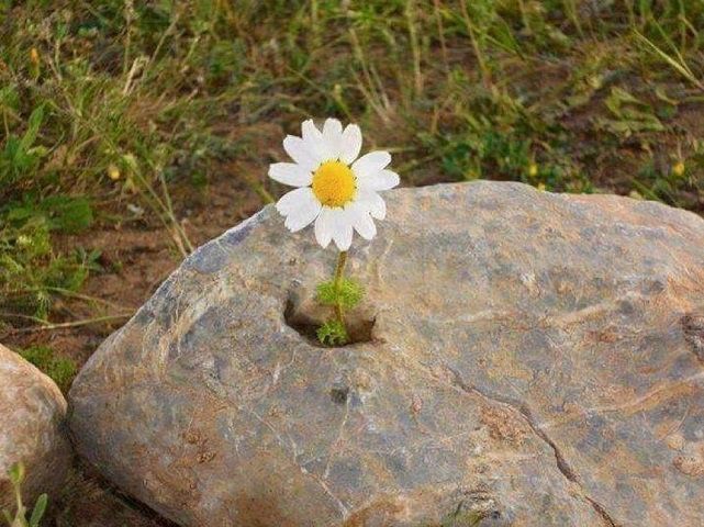 " وينبت الله لك من شقوق الضيق 
          فرجاً ، فأطمئن".
.
.

#حركه_النقل_الخارجي