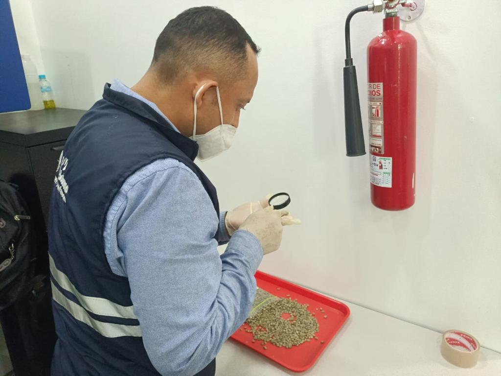 AgrocalidadZ5's tweet photo. #Guayas | Realizamos inspección fitosanitaria de productos vegetales (café, cacao y tabaco) en el aeropuerto José Joaquín de Olmedo, para verificar las condiciones y cumplimiento de los requisitos fitosanitarios, certificando su calidad. #ExportamosCalidad https://t.co/zdvnigNnWq