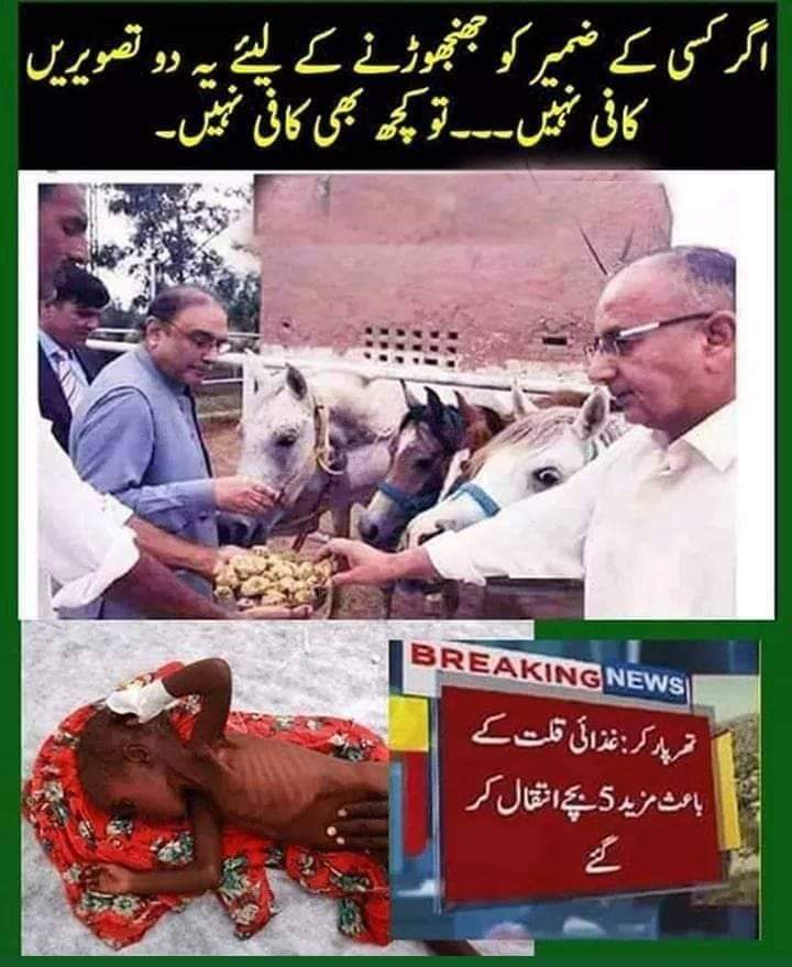 independentoffi's tweet image. سندھ کو حق دو 
#زرداری_سب_سے_بڑی_بیماری