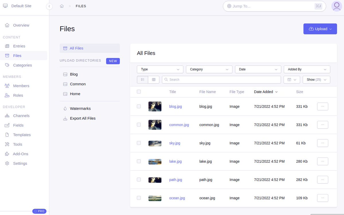 Just released the #ExpressionEngine 7 Beta to our beta subscribers! 🥳🥳🥳
Oh, and the rumors are true. All features from ExpressionEngine Pro are now part of the core!!!

#eecms