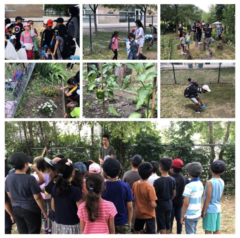 Thorncliffe_Summer2022 tweet media