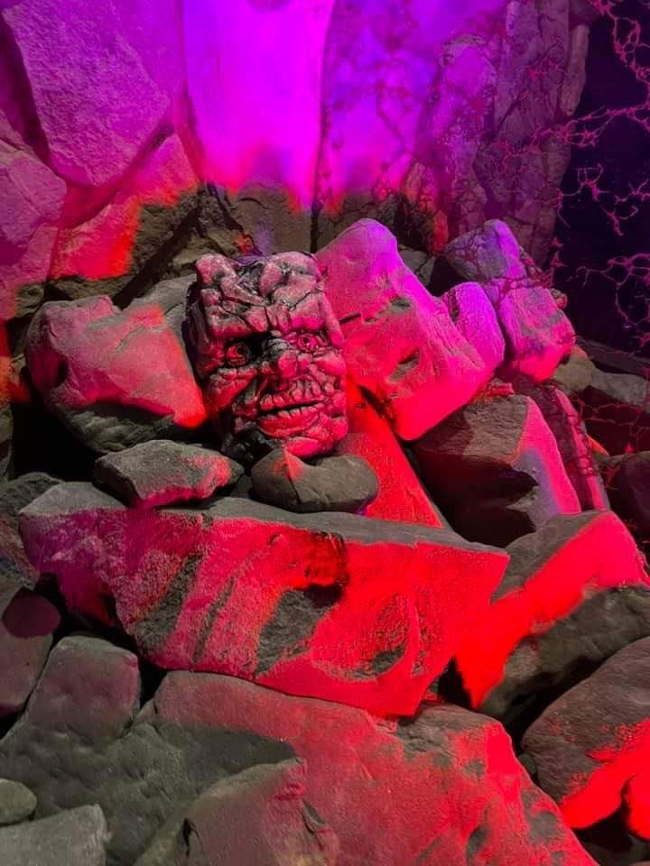 Look at how the lit my boy! He looks so cute in his natural habitat! #ThorLoveAndThunder  #korg #sdcc2022