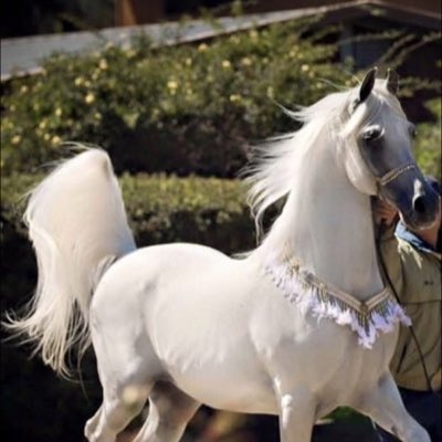 #صورة_جديدة_للملف_الشخصي