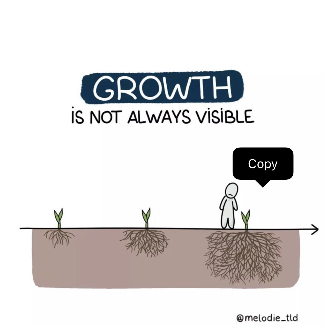 Kate Steel tweet media