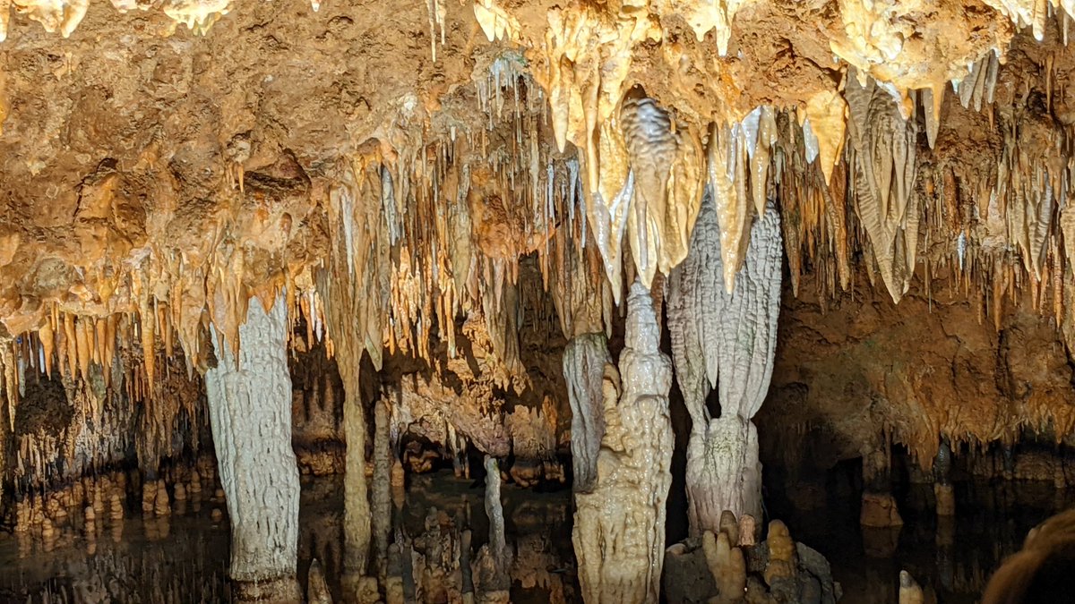 AngWxGrl's tweet photo. Some little girl I know has fallen in love with caves! She says they are "spooky." So, we stopped at Meramec Caverns on the way home. #DivineMissM #cavestate @VisitMO https://t.co/S7UQ66H4yL