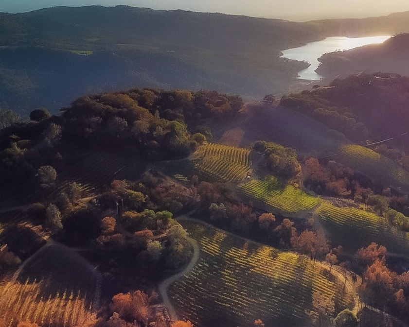 joinmelier's tweet photo. Let Melier plan your perfect VIP Experience in wine country that goes beyond just sipping the grape.

https://t.co/yx63h8BWHL https://t.co/DrnKqxWY0o