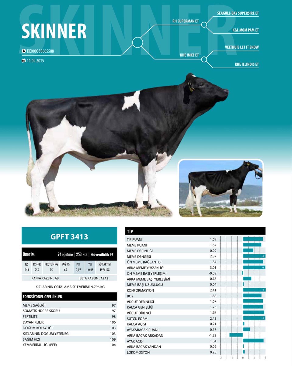 SKINNER Buzağısı…
SKINNER Calf…

reprogen.com.tr
intermizoo.com/holstein/skinn…

#holstein #calf
@intermizoo_official