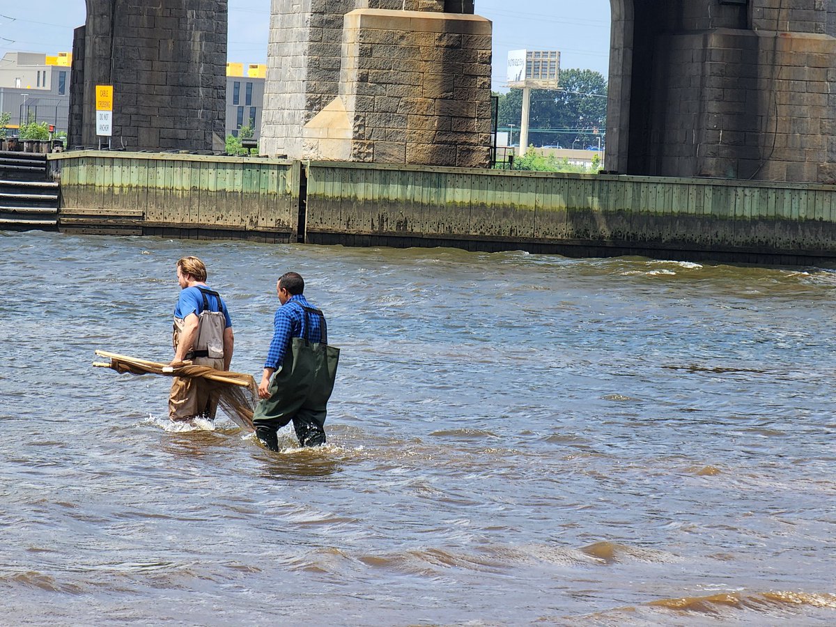 Shakila Merchant tweet media