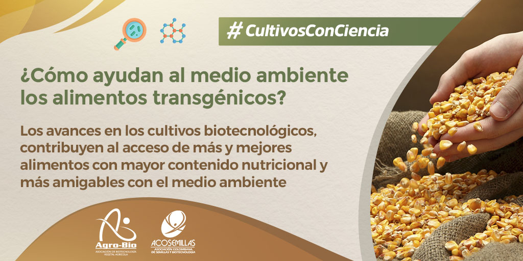 ACOSEMILLAS's tweet photo. #CultivosConCiencia - Los alimentos derivados de la biotecnología benefician al consumidor final al no tener residuos de hongos o bacterias producidas por plagas y enfermedades.  @LeoarizaR @mariaandrea_u https://t.co/b61rpi2iFD