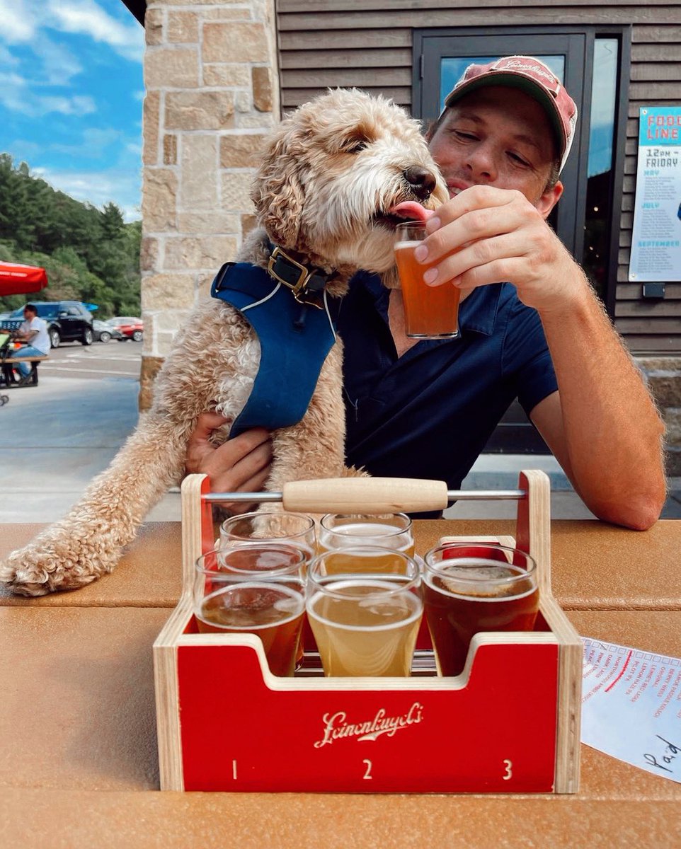 leinie_lodge's tweet photo. Pupping good beer 🍺

Bring your tailwaggers to Paws &amp; Pints on the patio next Thursday, July 28 🐾  

#Leinenkugels #PawsandPints #PupswithBrews #PetFriendly #Brewery https://t.co/IbbLY2IGb8