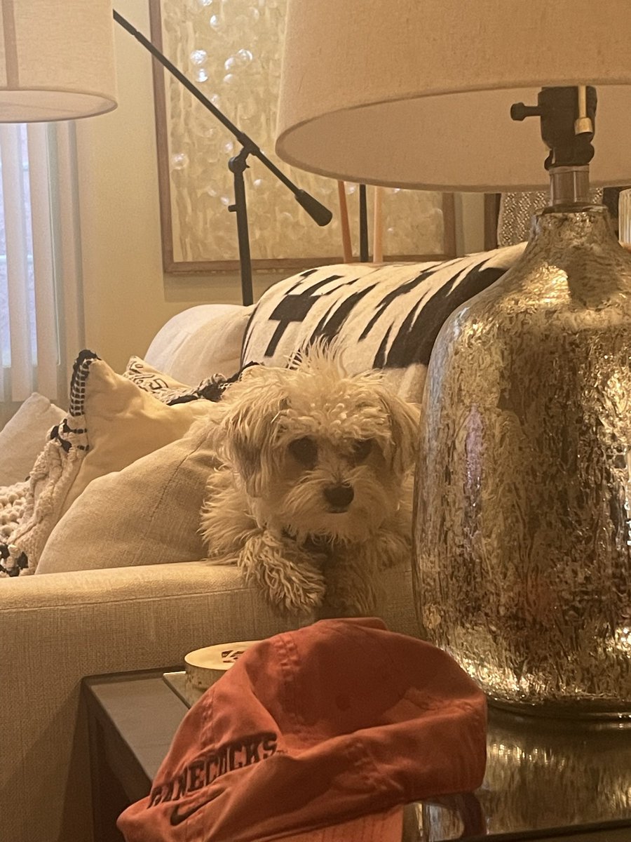 Fode (parody) tweet media