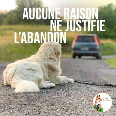 DidierRoustan's tweet photo. Aucune !!! #StopAbandon https://t.co/HXV19rzHQK