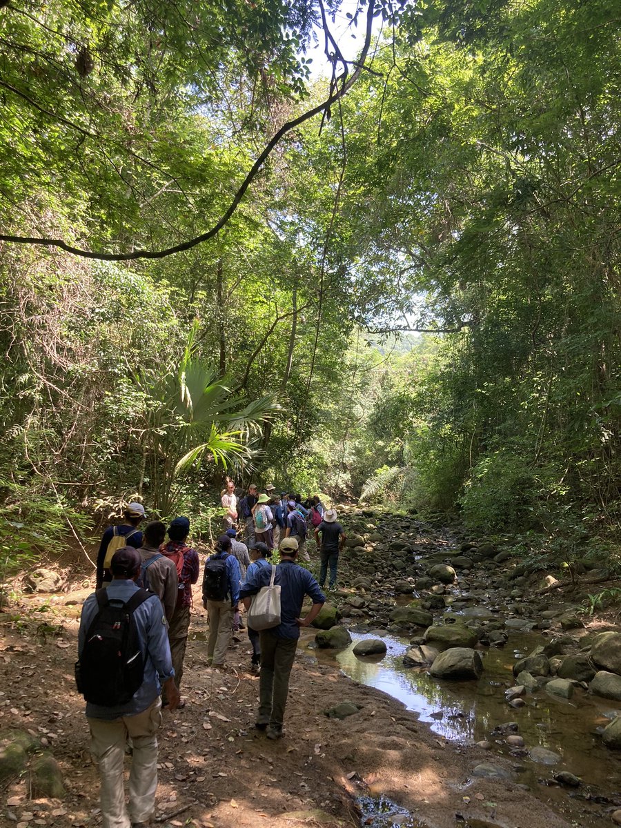 Daniel Zuleta tweet media