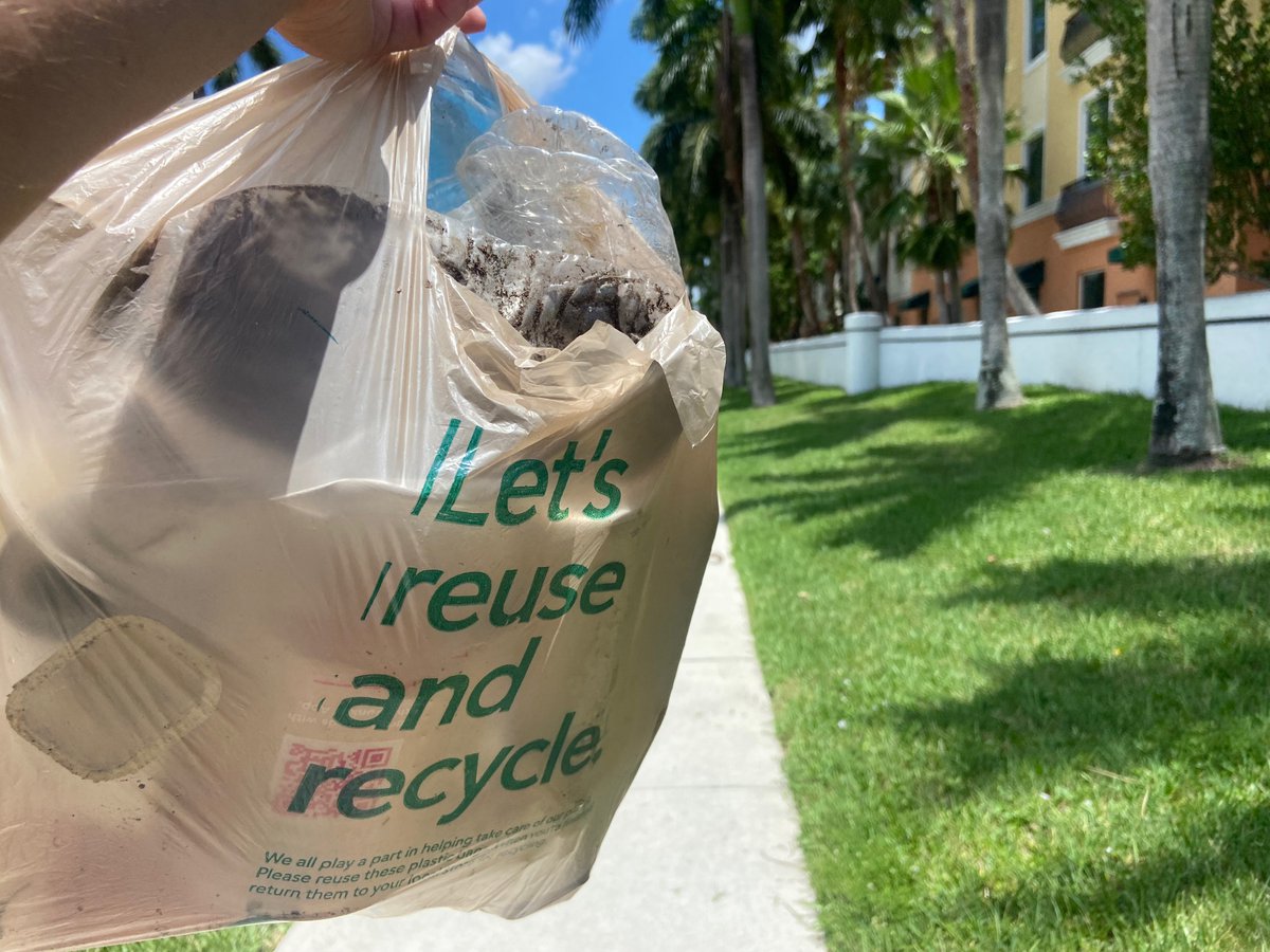 Sam Farrell tweet media