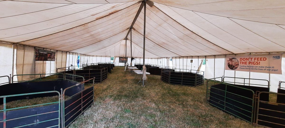 OxfordPig's tweet photo. @middevonshow Pig Exhibition is ready to welcome you Sat 23 July
Promoting 11 breeds whilst giving guidance & sharing knowledge on high welfare of our pigs and the importance of bio security for the safety of all our pigs in the UK, with thanks to @AHDB_Pork
#knowyourpigs https://t.co/19wUPOH9Gr