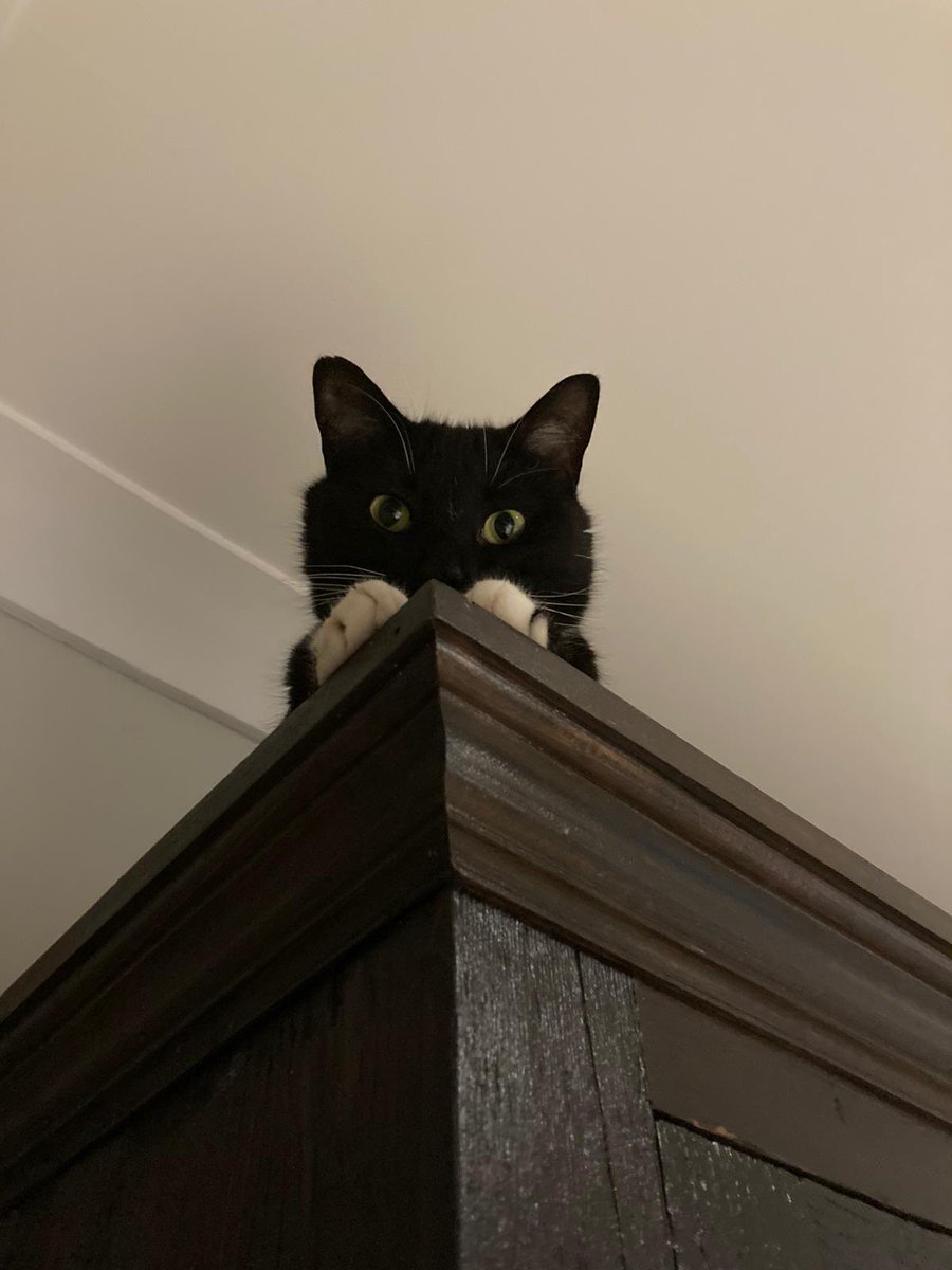 Jill Daly tweet media