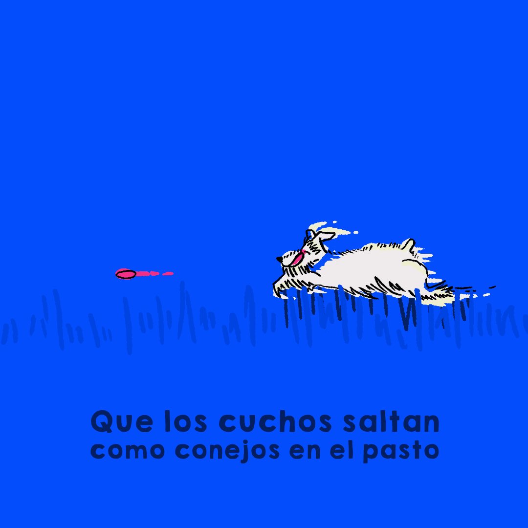 CanalTreceCO's tweet photo. Hoy es el #DíaDelPerro y te queremos recordar que es mejor adoptar a tus amigos peludos para así evitar hacer parte de la cadena de explotación animal.

Además, cuando elijas al nuevo miembro de tu familia, no descartes a aquellos que ya no son cachorros 🐶 https://t.co/mJRcKQYiti