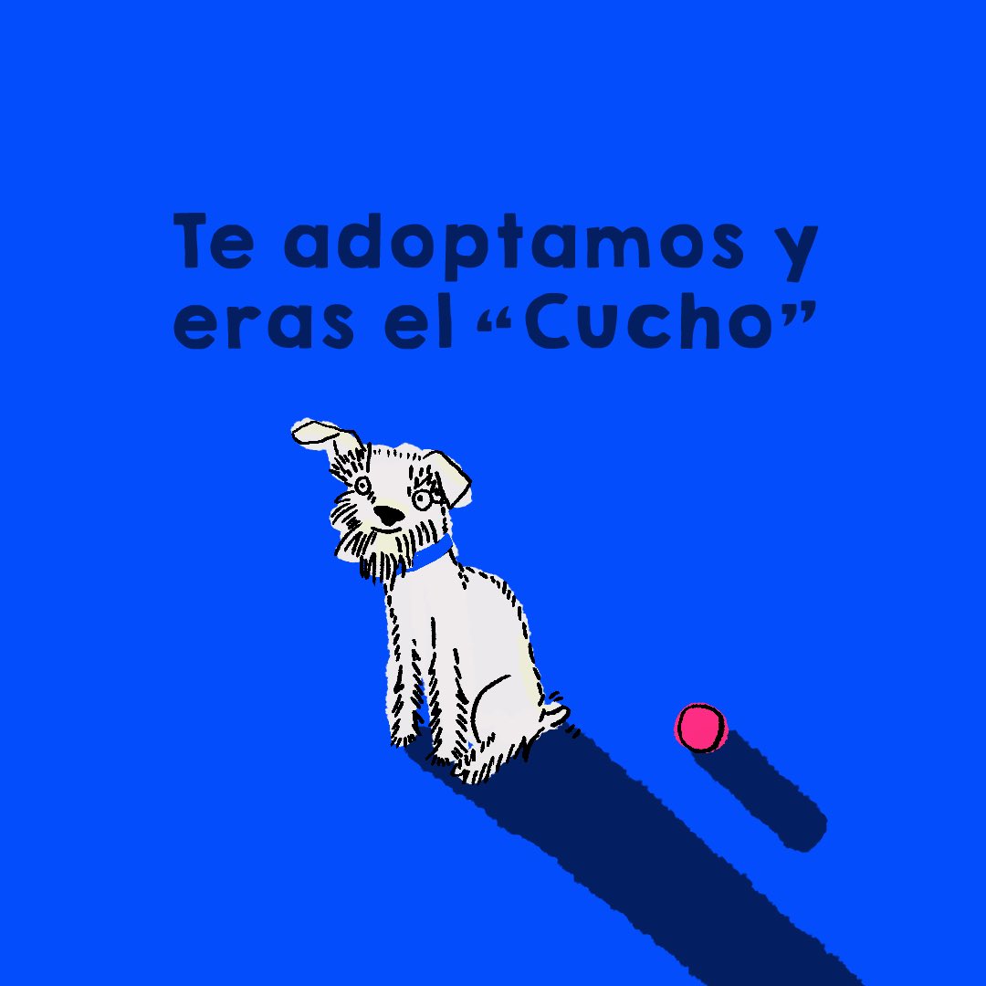 CanalTreceCO's tweet photo. Hoy es el #DíaDelPerro y te queremos recordar que es mejor adoptar a tus amigos peludos para así evitar hacer parte de la cadena de explotación animal.

Además, cuando elijas al nuevo miembro de tu familia, no descartes a aquellos que ya no son cachorros 🐶 https://t.co/mJRcKQYiti