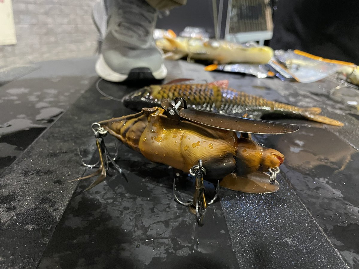 FishRulesApp tweet picture