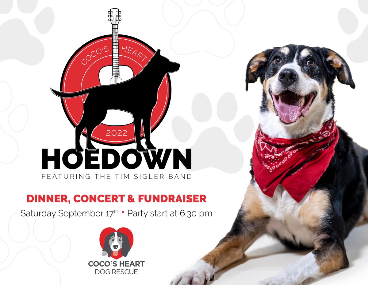 Coco's Heart Dog Rescue tweet media