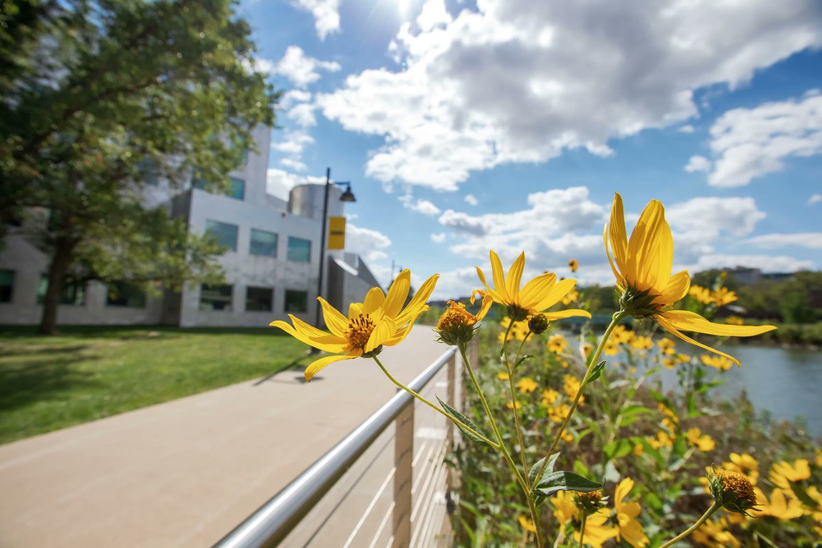 Point Of View: you decide to walk to the IMU alongside the Iowa River riverbank.