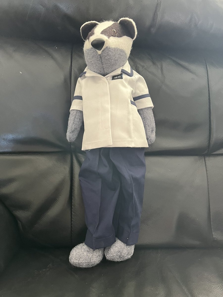 ameliabphysio's tweet image. One of my Mums colleagues made me a Physiotherapy badger teddy ready for my graduation on Thursday! HOW CUTE! Can’t wait to have a uniform like his ☺️@BrightPhysios @UoBriPhysioSoc