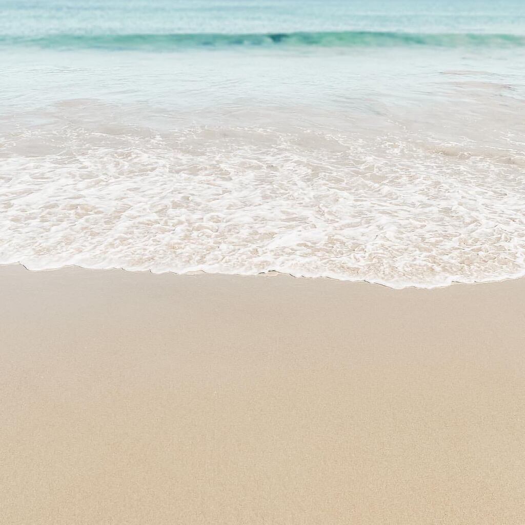 halifaxnoise's tweet photo. From @__snazzysnaps โ
caught up in your heatwave.
#halifaxnoise #justbeachy https://t.co/DM1ibC3gZ6 https://t.co/M7BgRAnLkW