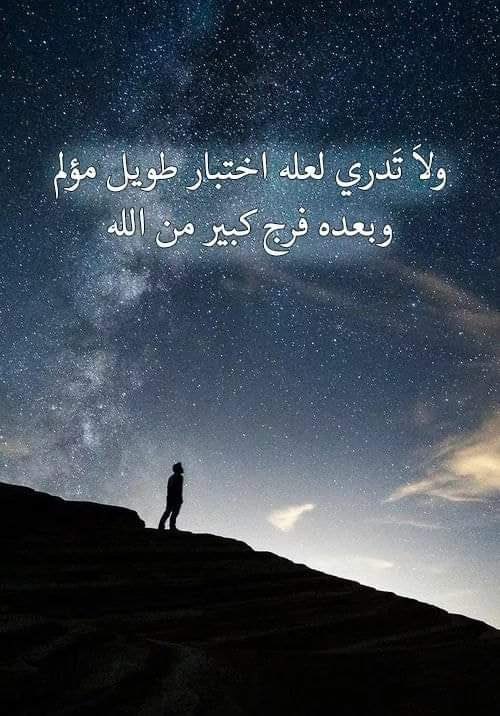 عبدالعزيز tweet media