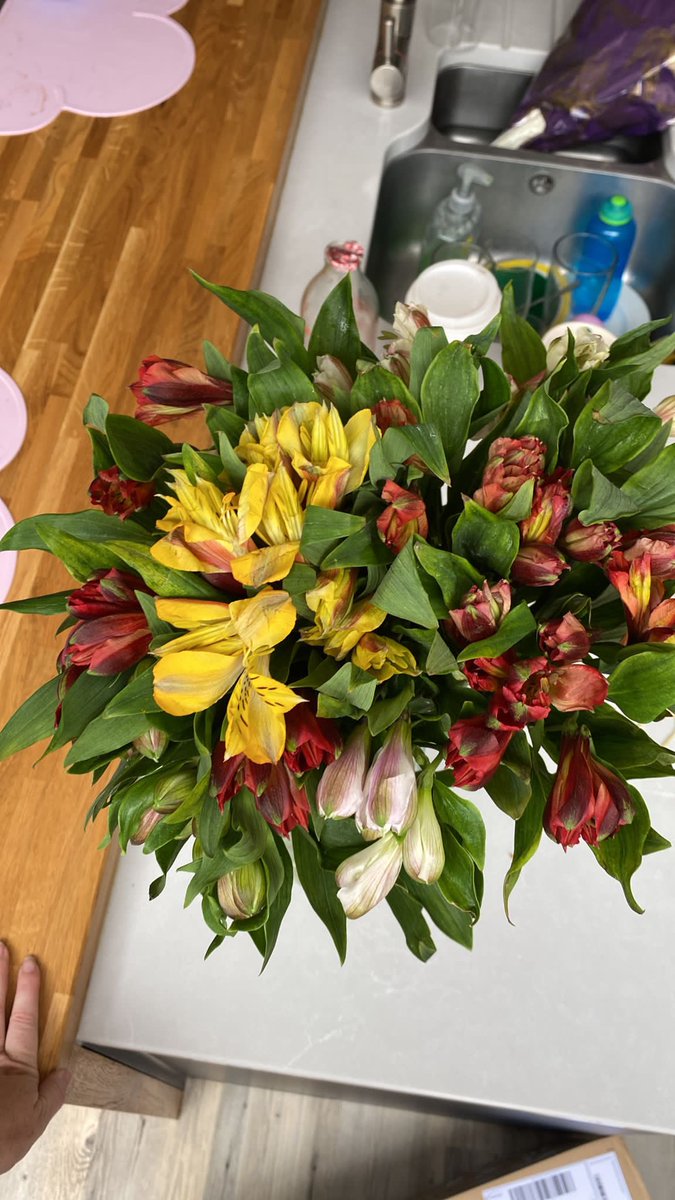 EyUpLeeds's tweet photo. Ordered flowers as a birthday present today from @MandSnews @marksandspencer - what a complete disgrace!!!! £25 down the swanny and an upset friend on her birthday. Nice one. #Shameless #RefundRequired #mandsflowers https://t.co/hQXbHOGmpE