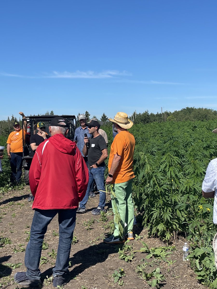 JohnstonKH's tweet photo. Did you know that #InnoTechAB is leading the growth of the Hemp industry not just in Alberta… but in Western Canada and beyond?! Here’s another great story from some Sasky neighbours! #HempAgronomy #FieldDay2022 @ABInnovates #LiveTweetingtodaysoffice https://t.co/GoIPq9IcP8