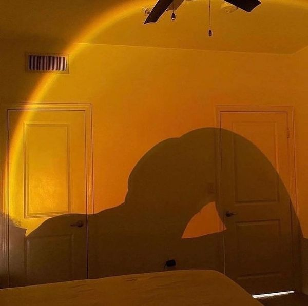 YetzelyRod's tweet image. En las sombras...