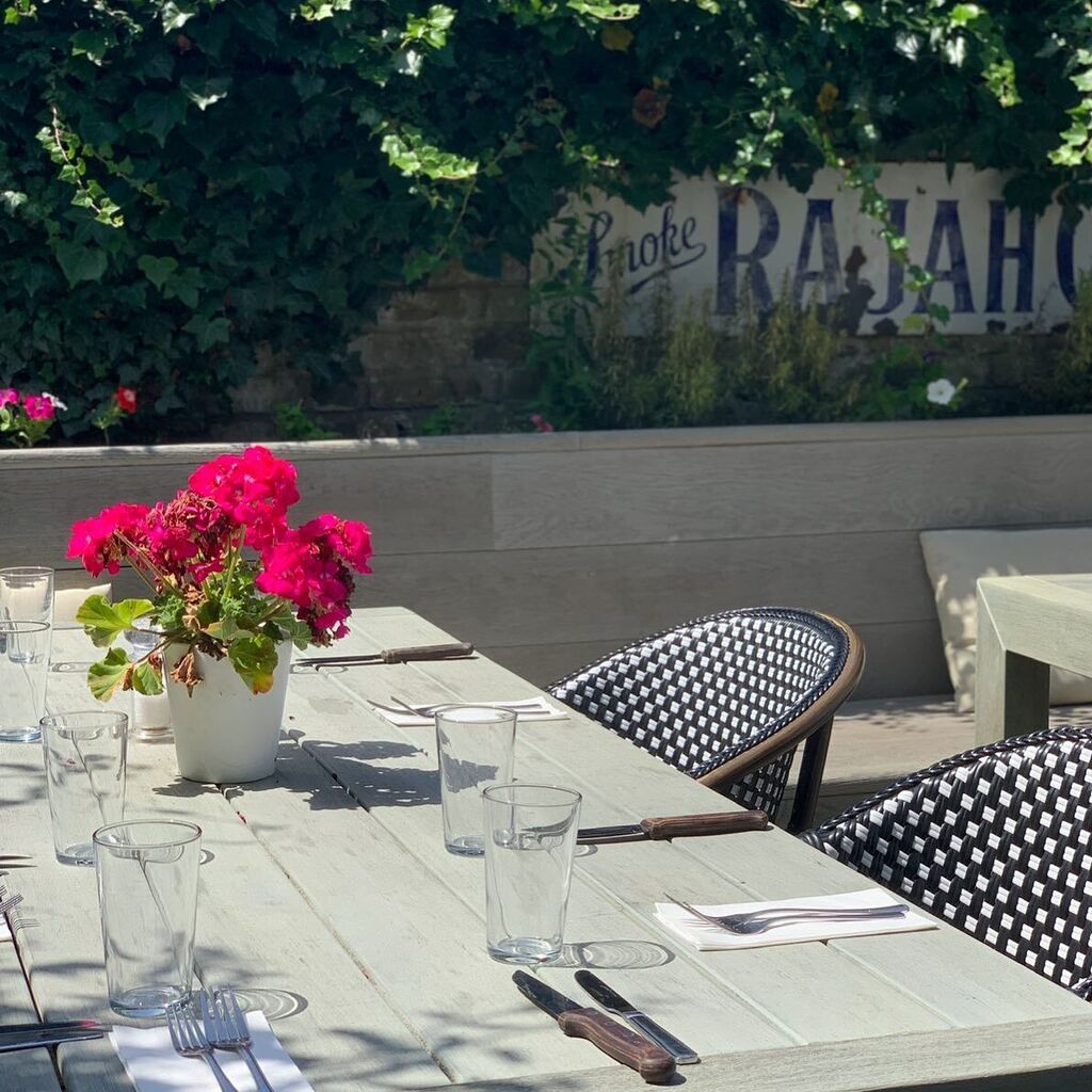 It’s a bit cooler today….phew! 💦 

-

#londonpub #barnes #positivechange #revolutioninconsumption #barneslife #familypub #thebrowndog #dogfriendlypub #thebrowndogbarnes #garden #gardening #londontown #plants #suitcasetravels #londonlife #travelwithca… instagr.am/p/CgR60IuouuJ/