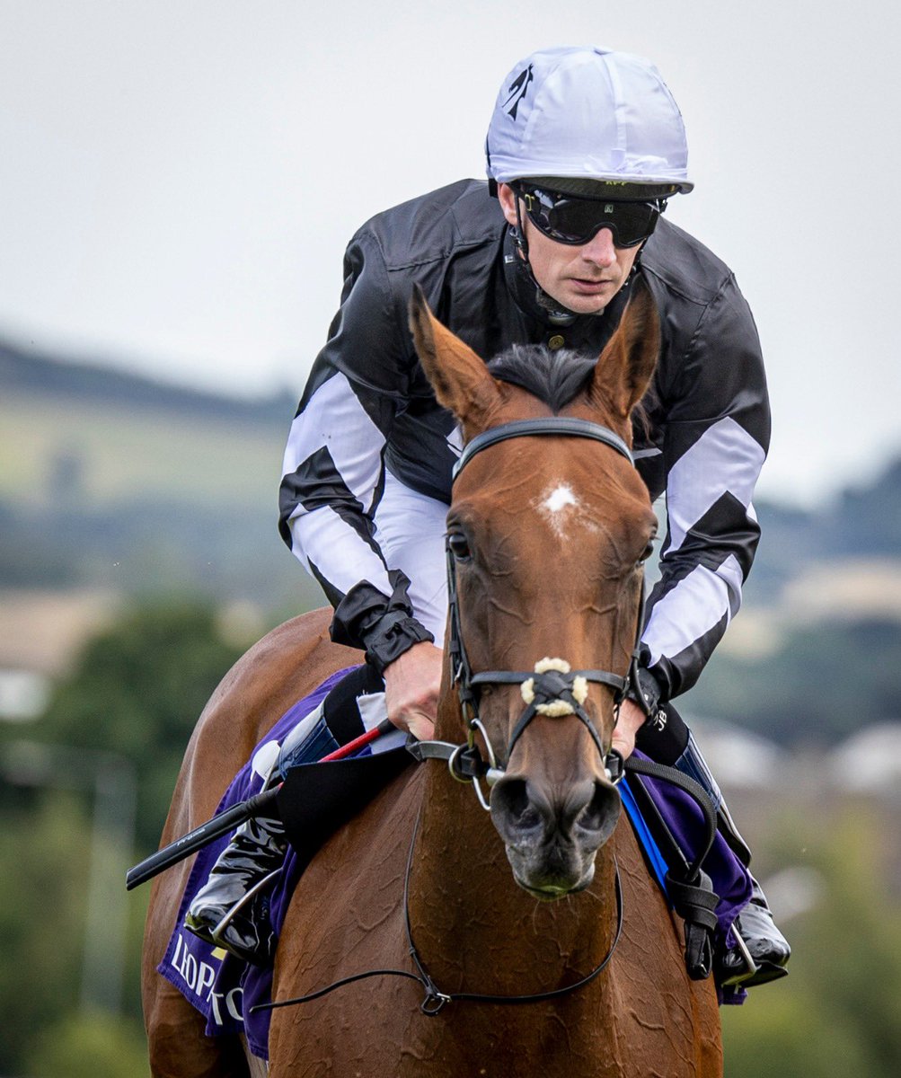 LeopardstownRC's tweet photo. A picture perfect finish 🖌️
Ma Belle Artiste is all class as she strikes on debut for @JosephOBrien2 and @declanmcdonogh in the @IrishEBF_ Maiden Sires Series Fillies Maiden.
Well done to winning connections @MyRacehorseUK 🏆 👏🏻 https://t.co/pOAG8UXKwP
