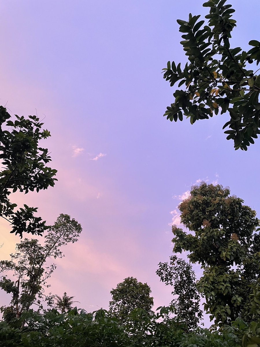 iadersh21's tweet photo. Just my beautiful evening view! What’s yours? 

#Scenery #evening #NFT https://t.co/KUR6oSUzBT